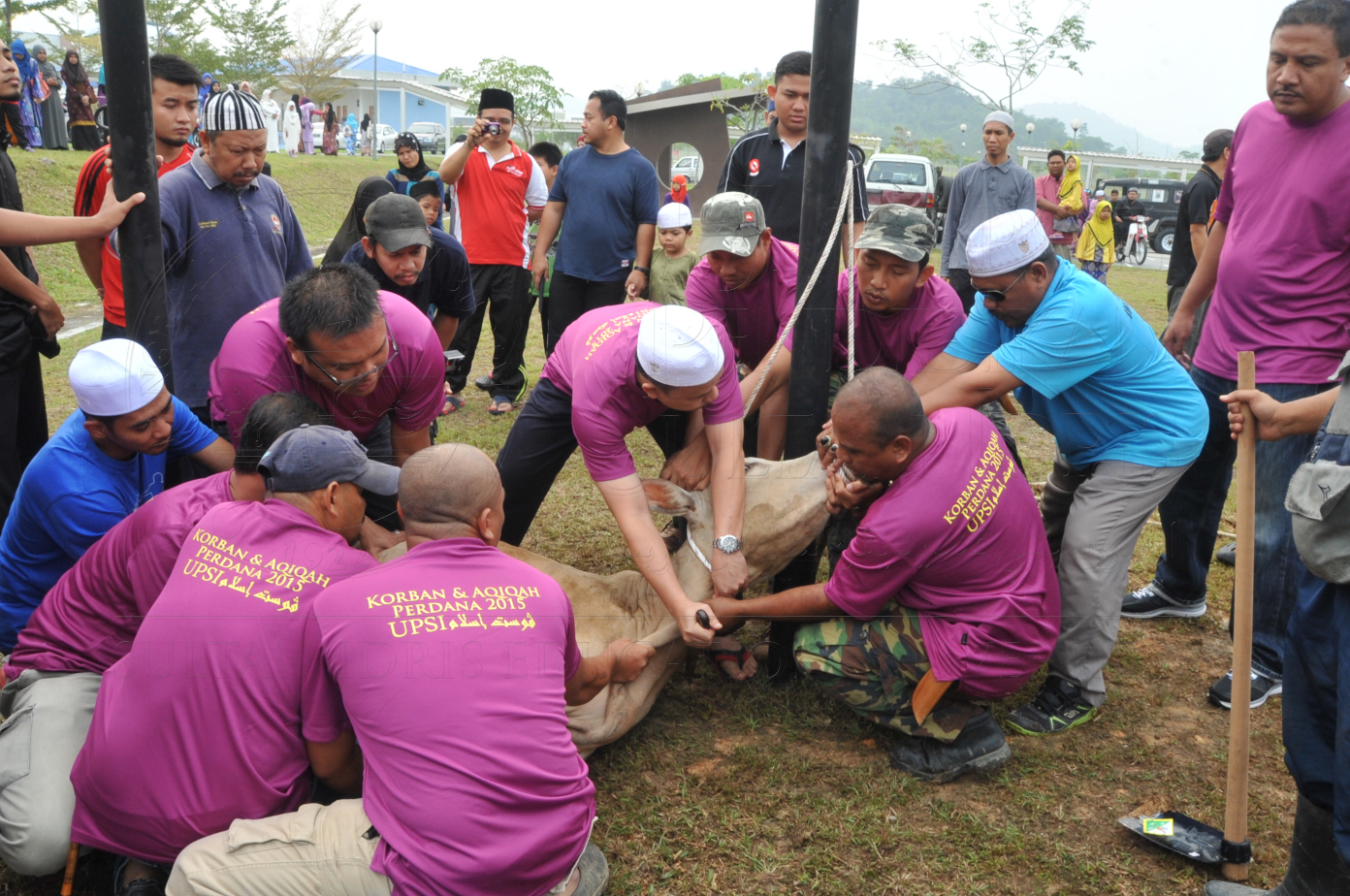 PRO15 150 KORBAN HAS 6702